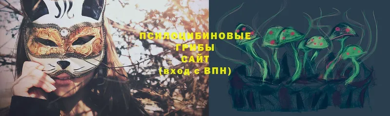 Галлюциногенные грибы Psilocybe  Бавлы 